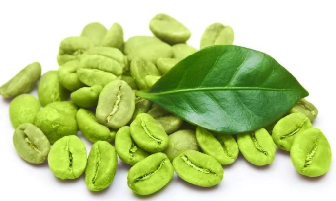 Green Coffee Bean Extract - Chlorogenic Acid(CGA)