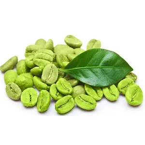 Green Coffee Bean Extract - Chlorogenic Acid(CGA)