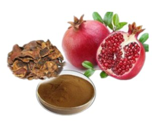 Pomegranate Extract - Ellagic Acid