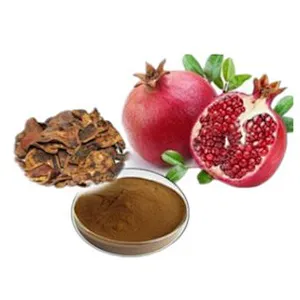 Pomegranate Extract - Ellagic Acid