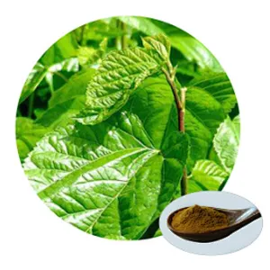 Mulberry Leaf Extract - 1-DNJ