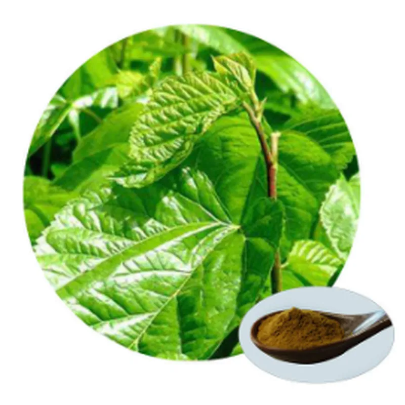 Mulberry Leaf Extract - 1-DNJ