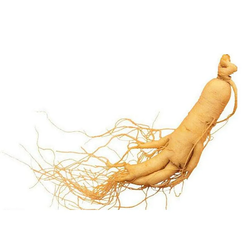 Ginseng Extract - Ginsenosides
