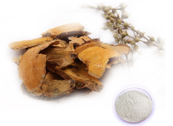 Polygonum Cuspidatum Extract - Resveratrol