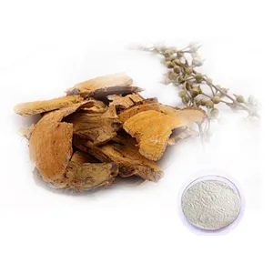Polygonum Cuspidatum Extract - Resveratrol