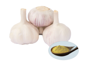Garlic Extract - Allicin