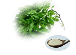 Vine Tea Extract - Dihydromyricetin (DMY,DHM)