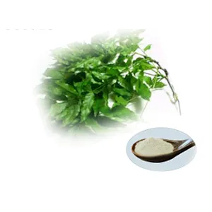 Vine Tea Extract - Dihydromyricetin (DMY,DHM)