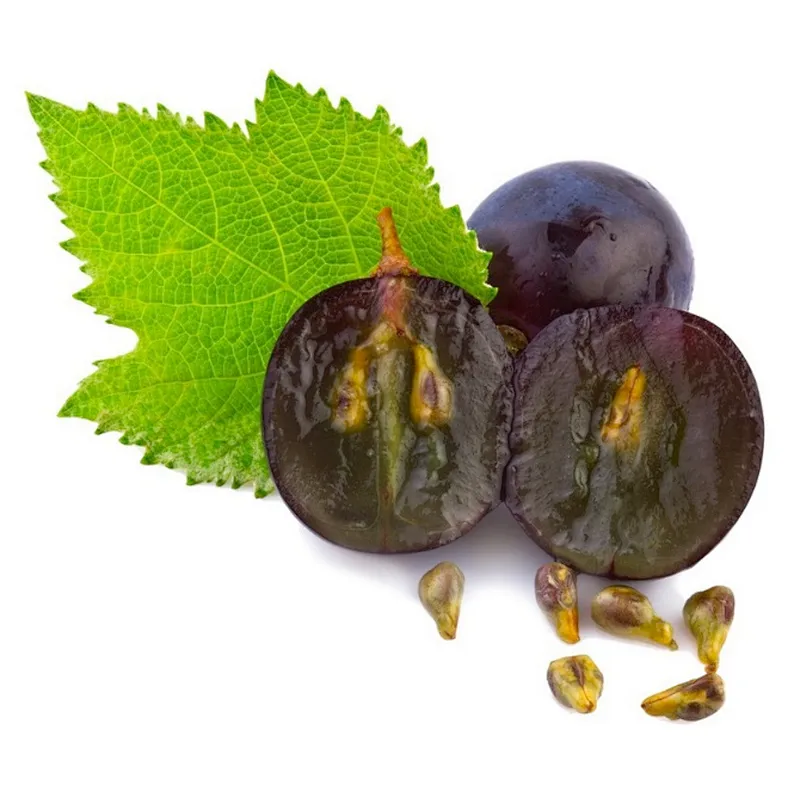 Grape Seed Extract - Proanthocyanidins
