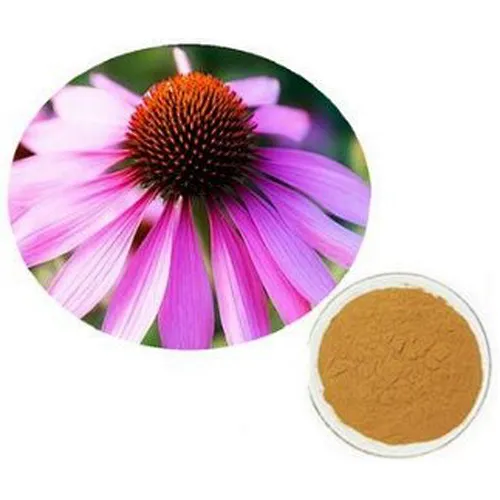 Echinacea Extract