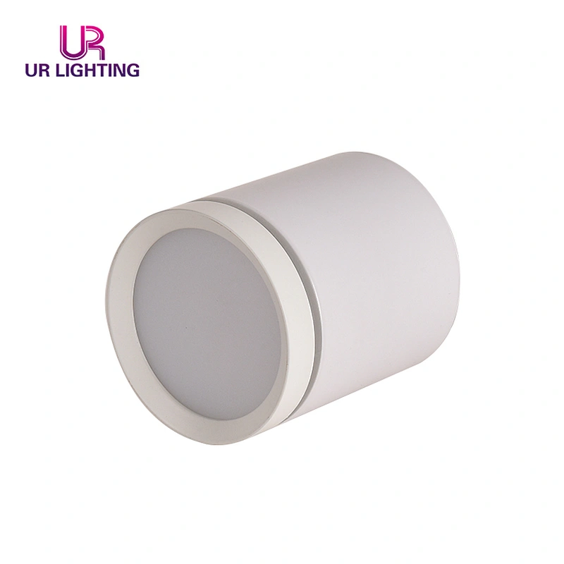 European minimalist style black white surface mounted ceiling 5w round LED downlights