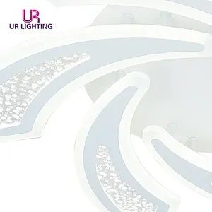 Nordic Simplicity Iron Acrylic Indoor Residential Modern Art Unique Led Ceiling Light