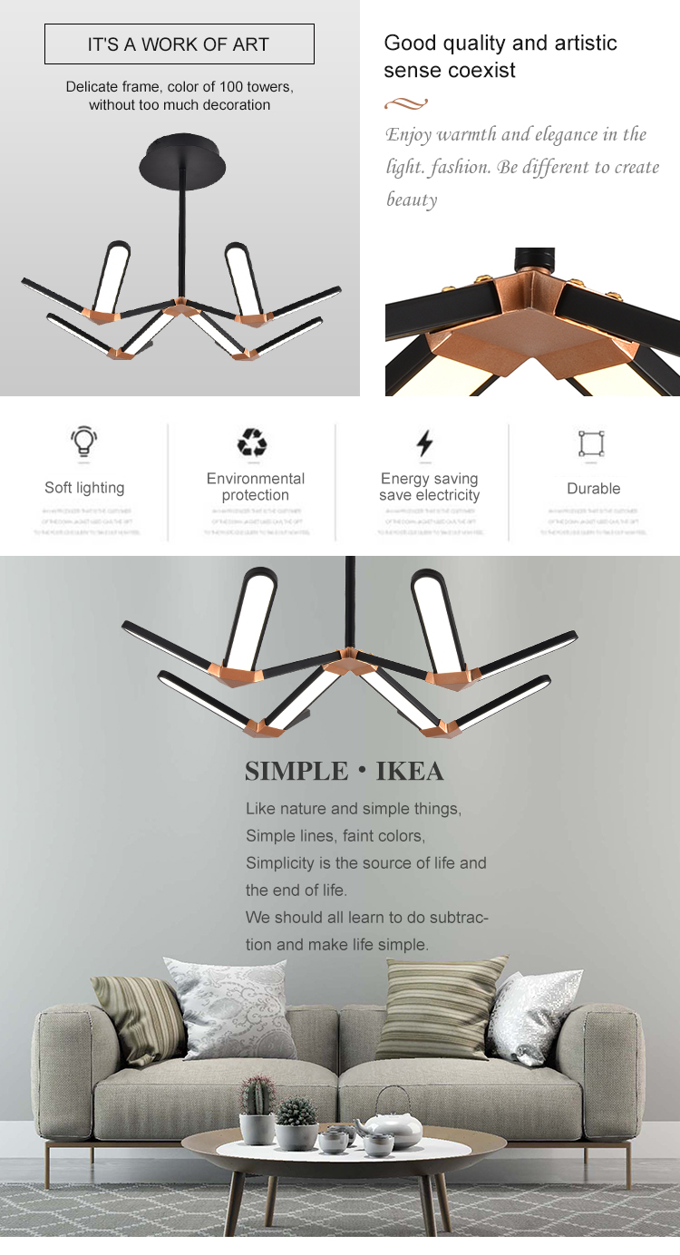 _02.jpg