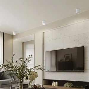 European minimalist style black white surface mounted ceiling 5w round LED downlights