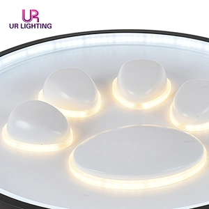 Modern simple indoor fixture living room bedroom study room LED ceiling light