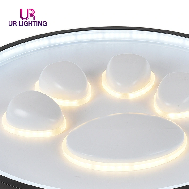 Modern simple indoor fixture living room bedroom study room LED ceiling light
