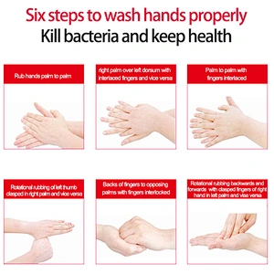 alcohol hand sanitizer gel anti bacterial hand wash sanitizer rinse free