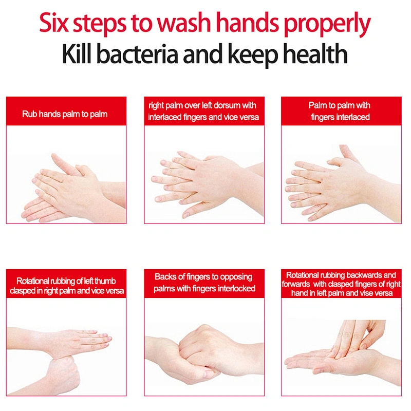 alcohol hand sanitizer gel anti bacterial hand wash sanitizer rinse free