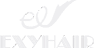 Huizhou Exy Hair Products Co., Ltd.