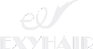 Huizhou Exy Hair Products Co., Ltd.