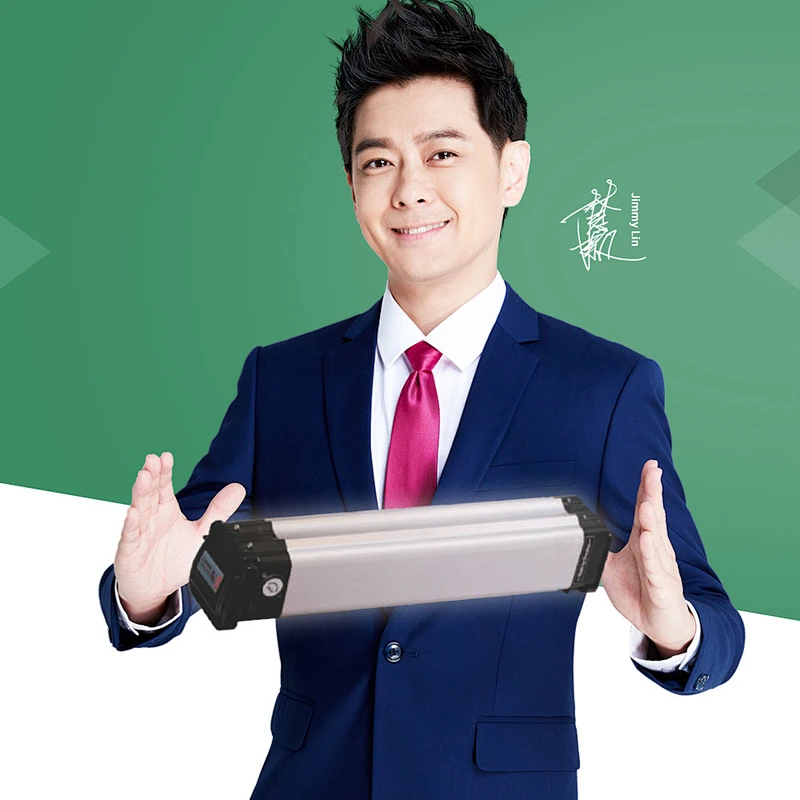 DZ-086 electric bike battery lithium battery 18650 battery