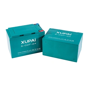Maintenance free 6-DZM-24 24V 24Ah ebike scooter lead acid battery pack 36V with low price