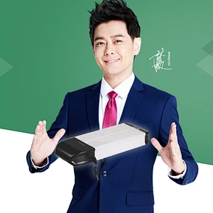 DZ-061 electric bike battery lithium battery 18650 battery