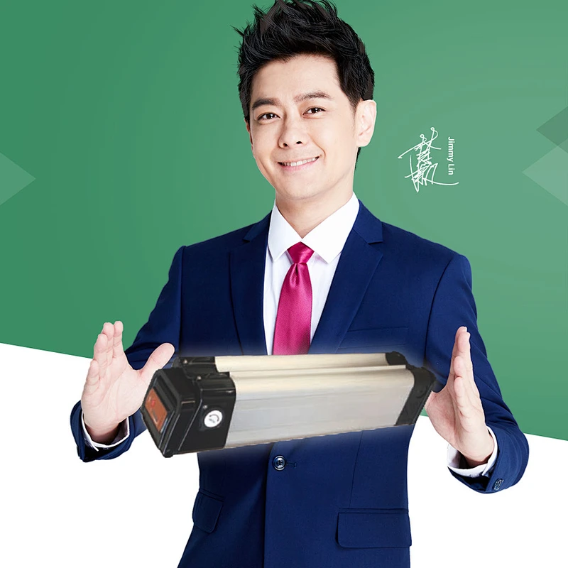 DZ-088 electric bike battery lithium battery 18650 battery