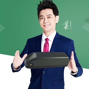 DZ-038 electric bike battery lithium battery 18650 battery