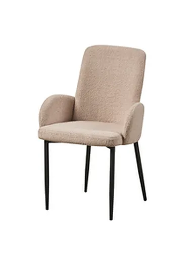dining room dining chair