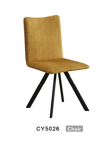 modern metal leisure chair