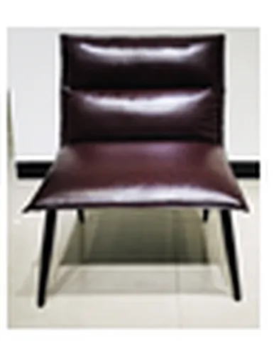 leisure chair with stool