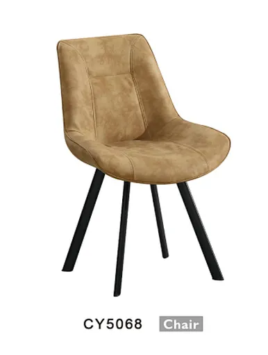 living room leisure chair