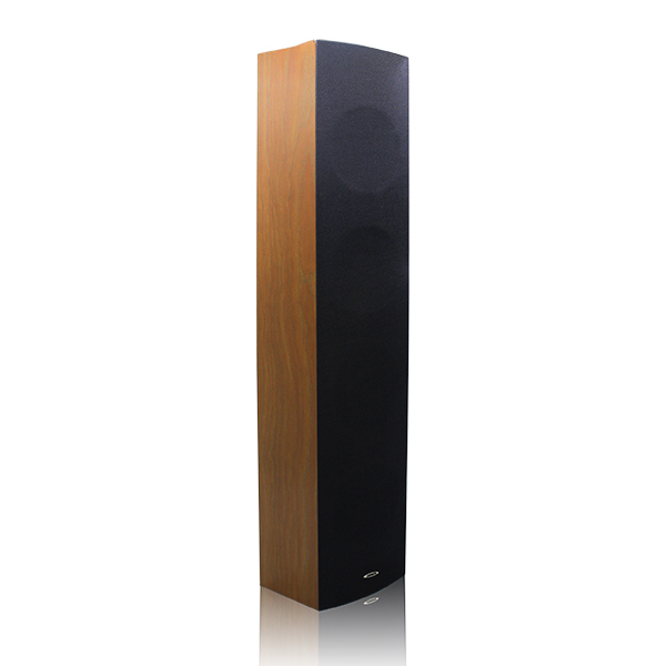 2x30W Indoor IP Network Column Speake