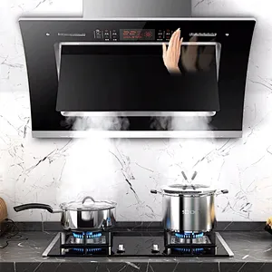 Range Hood Double Motor Heat Cleaning Larger Suction Range Hood Side Suction Range Hood