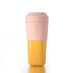 2020 New mini fruit juicer portable juicer