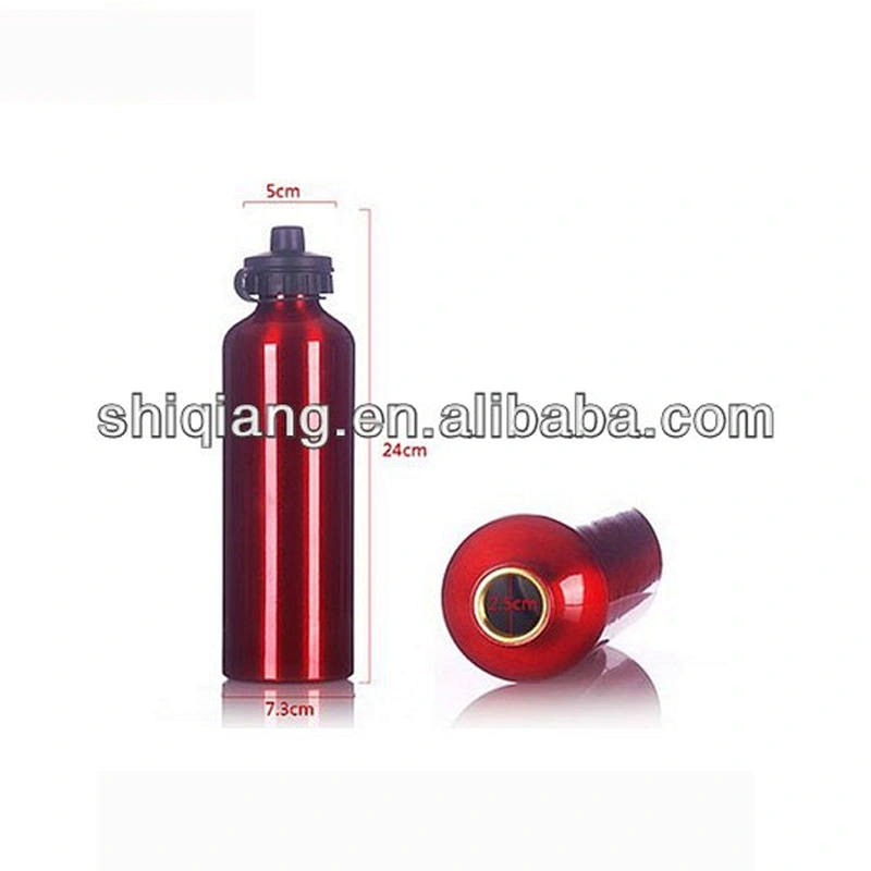 Custom Logo Carabiner Aluminum Vacuum Insulated Drinking Water Bottle