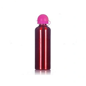 Custom Logo Carabiner Aluminum Vacuum Insulated Drinking Water Bottle