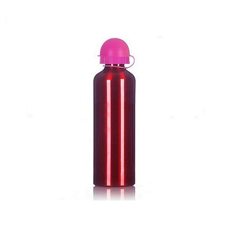 Custom Logo Carabiner Aluminum Vacuum Insulated Drinking Water Bottle