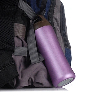 350ml high grade Korean vacuum flasks water bottles with tea filter carabiner lid