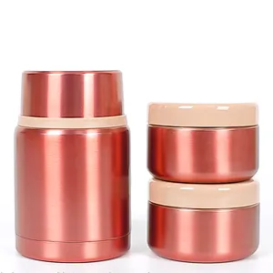 Leakproof Lid 500ml Lunch Box Double Wall Stainless Steel Vacuum Food Storage and single wall salad cases