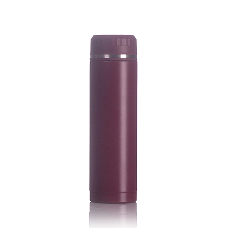 450ml Food Grade Vacuum Thermal Travel Water Flasks Portative Vacuum Drink Bottle With Lid And Filter