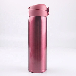 Custom Color 500ML Double Wall Stainless Steel Tea Tumbler Thermos Flask Vacuum