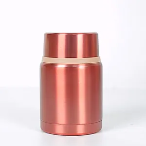 Leakproof Lid 500ml Lunch Box Double Wall Stainless Steel Vacuum Food Storage and single wall salad cases