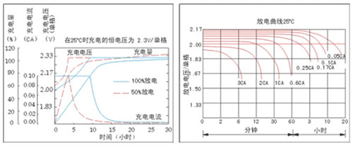 The basic information The basic information