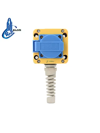 electric switches and sockets