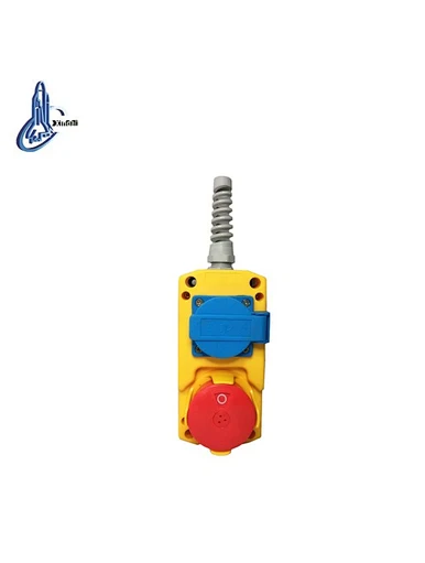 hoist remote control switch