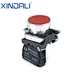 electrical push button switch