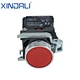 electrical push button switch