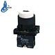 push button switch
